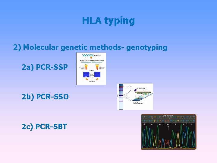 HLA typing 2) Molecular genetic methods- genotyping 2 a) PCR-SSP 2 b) PCR-SSO 2