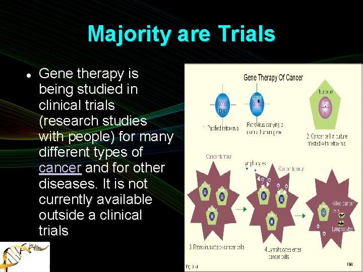 Majority are Trials Gene therapy is being studied in clinical trials (research studies with