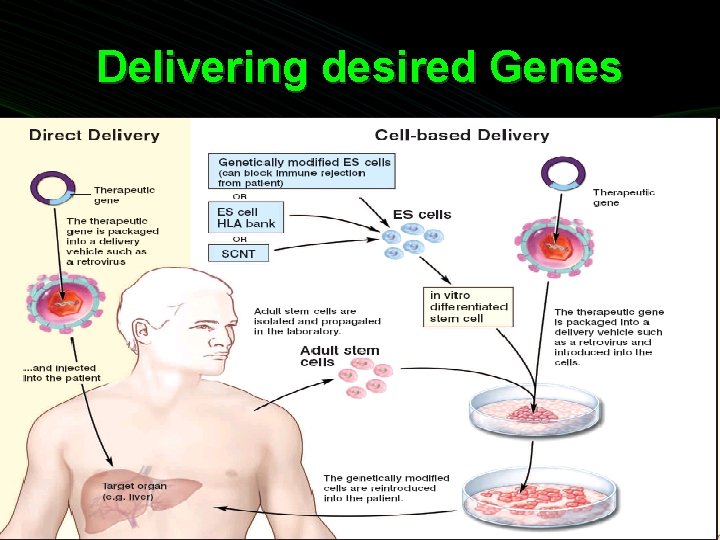 Delivering desired Genes 