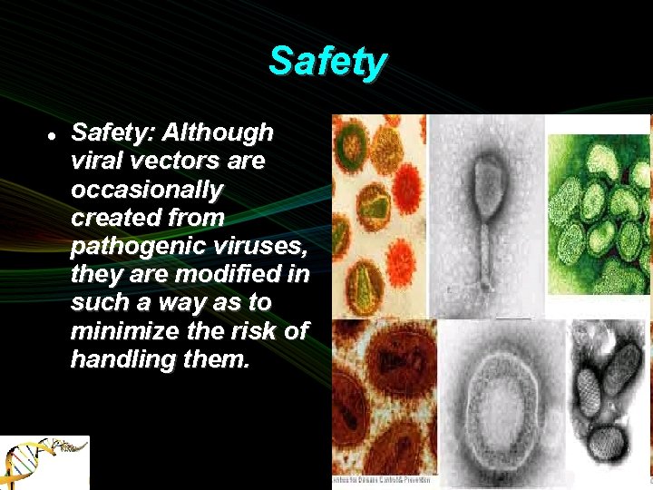 Safety Safety: Although viral vectors are occasionally created from pathogenic viruses, they are modified