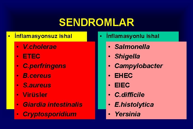 SENDROMLAR • İnflamasyonsuz ishal • – %80 -90 V. cholerae – Dışkı • •