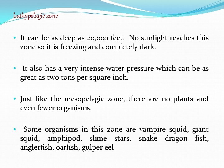 bathypelagic zone • It can be as deep as 20, 000 feet. No sunlight bathypelagic zone • It can be as deep as 20, 000 feet. No sunlight
