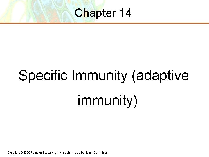 Chapter 14 Specific Immunity (adaptive immunity) Copyright © 2006 Pearson Education, Inc. , publishing