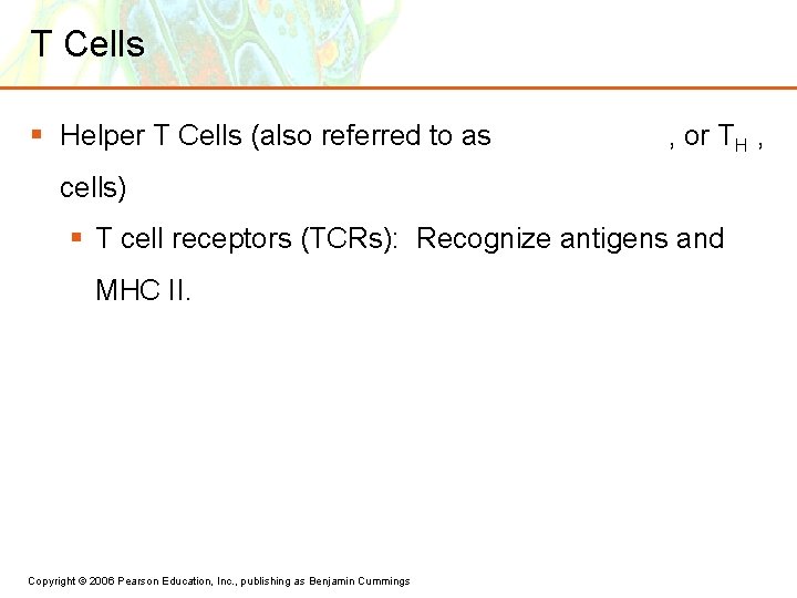 T Cells § Helper T Cells (also referred to as , or TH ,