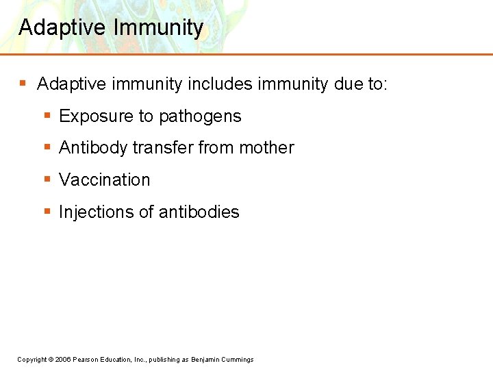 Adaptive Immunity § Adaptive immunity includes immunity due to: § Exposure to pathogens §