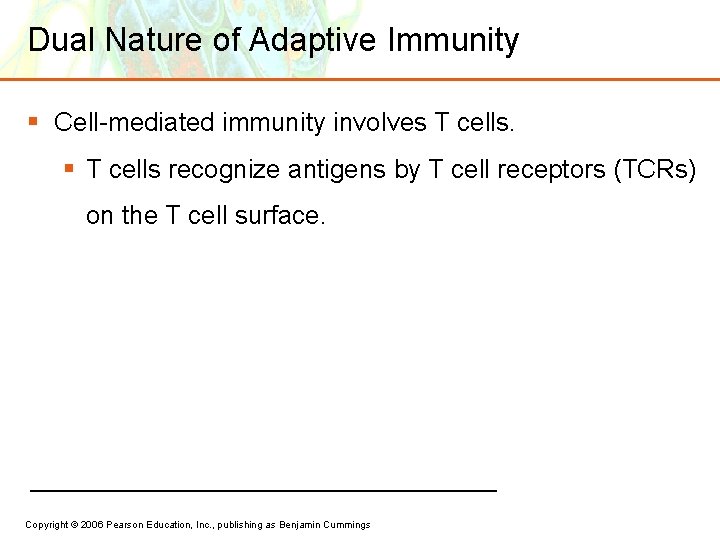 Dual Nature of Adaptive Immunity § Cell-mediated immunity involves T cells. § T cells