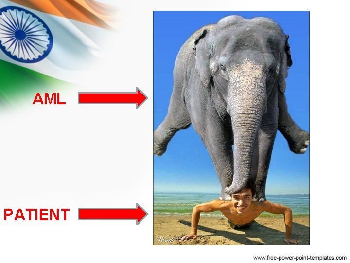 AML PATIENT AML PATIENT