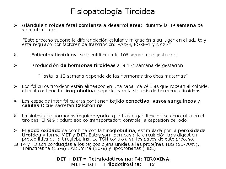 Fisiopatología Tiroidea Ø Glándula tiroidea fetal comienza a desarrollarse: durante la 4ª semana de