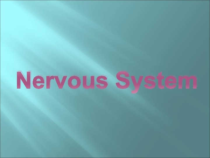 Nervous System 