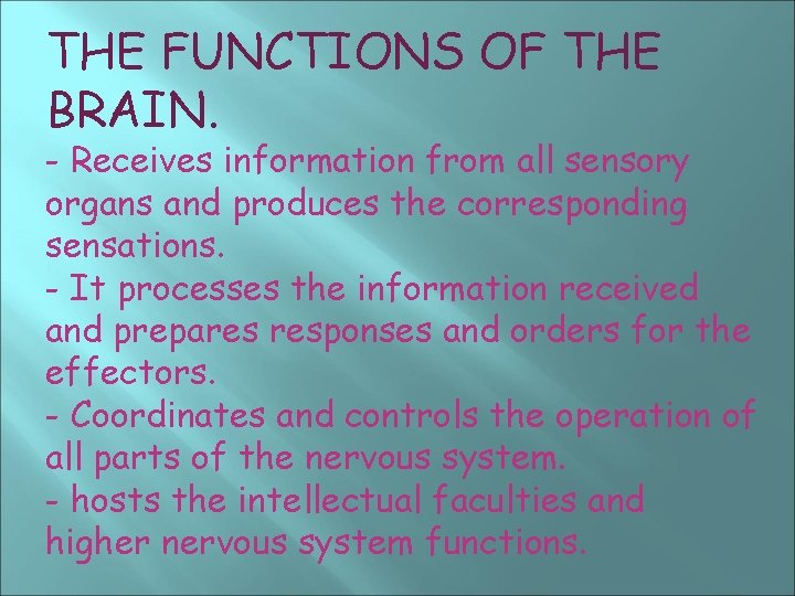 THE FUNCTIONS OF THE BRAIN. - Receives information from all sensory organs and produces