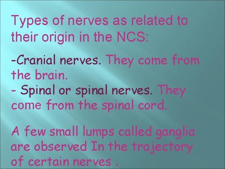 Types of nerves as related to their origin in the NCS: -Cranial nerves. They