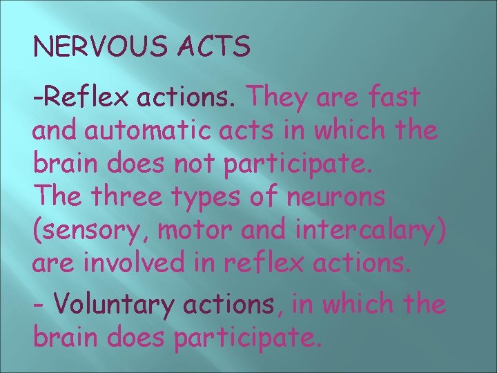 NERVOUS ACTS -Reflex actions. They are fast and automatic acts in which the brain