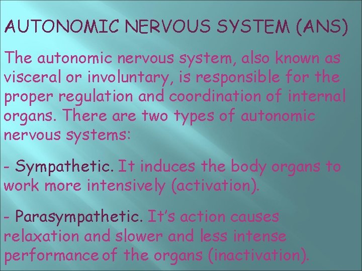 AUTONOMIC NERVOUS SYSTEM (ANS) The autonomic nervous system, also known as visceral or involuntary,