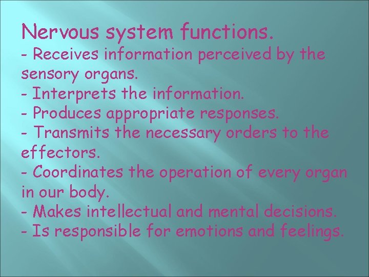 Nervous system functions. - Receives information perceived by the sensory organs. - Interprets the