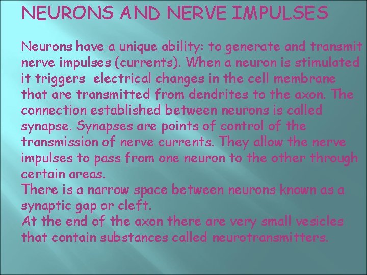 NEURONS AND NERVE IMPULSES Neurons have a unique ability: to generate and transmit nerve