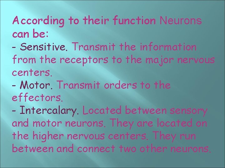 According to their function Neurons can be: - Sensitive. Transmit the information from the