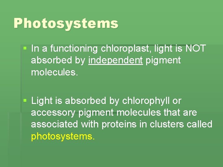 Photosystems § In a functioning chloroplast, light is NOT absorbed by independent pigment molecules.