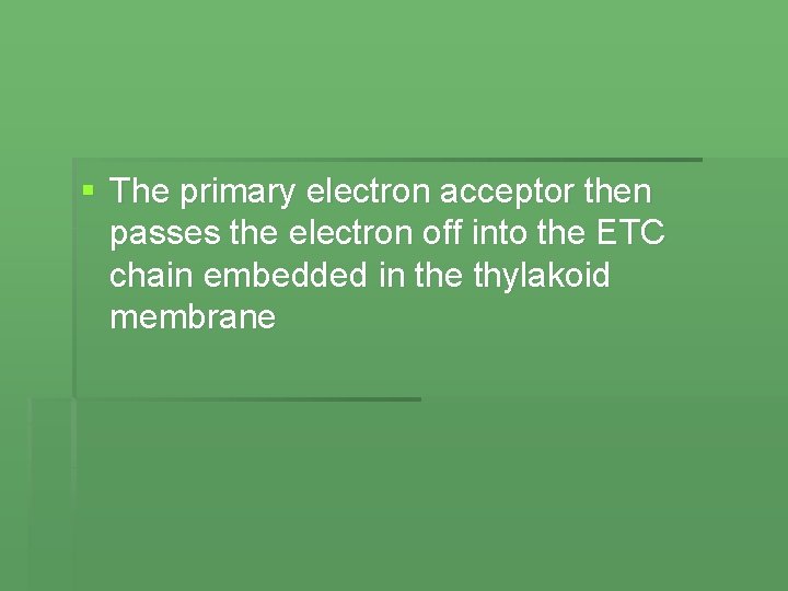 § The primary electron acceptor then passes the electron off into the ETC chain