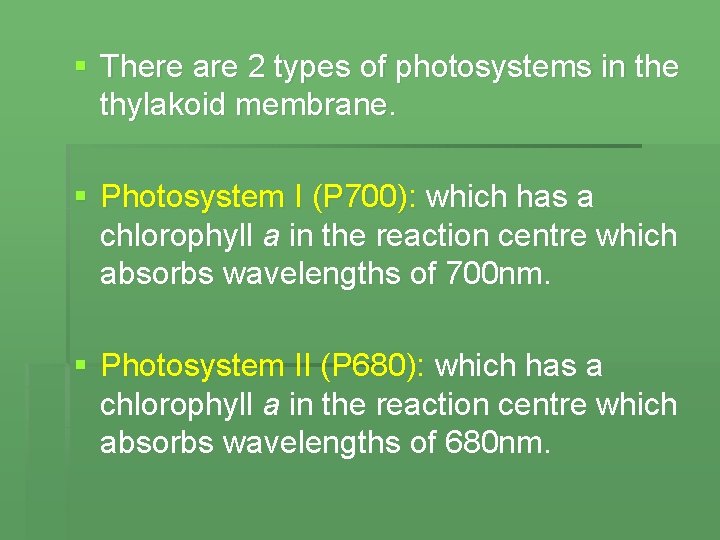 § There are 2 types of photosystems in the thylakoid membrane. § Photosystem I