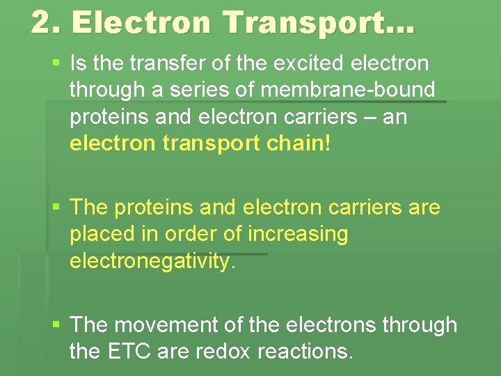 2. Electron Transport… § Is the transfer of the excited electron through a series