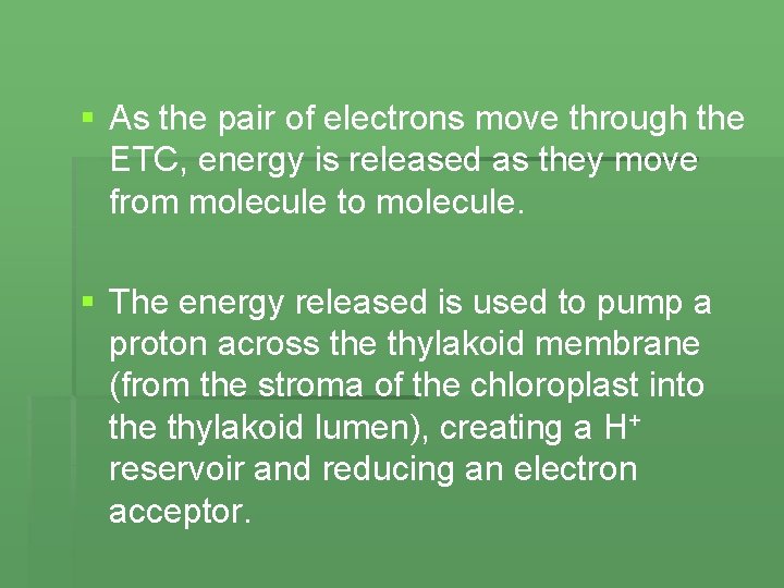 § As the pair of electrons move through the ETC, energy is released as