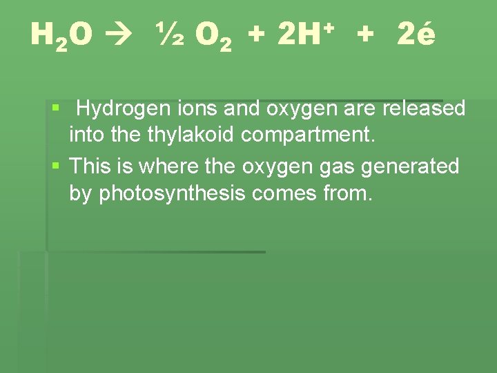 H 2 O ½ O 2 + + 2 H + 2é § Hydrogen