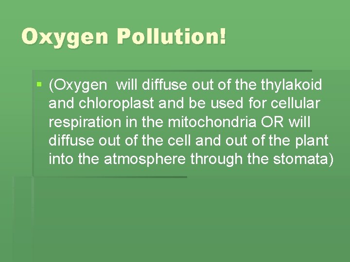 Oxygen Pollution! § (Oxygen will diffuse out of the thylakoid and chloroplast and be