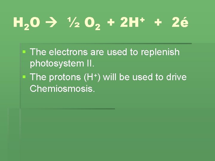 H 2 O ½ O 2 + 2 H+ + 2é § The electrons