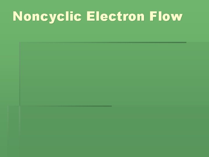 Noncyclic Electron Flow 