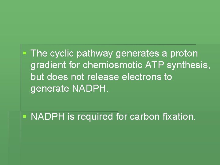 § The cyclic pathway generates a proton gradient for chemiosmotic ATP synthesis, but does
