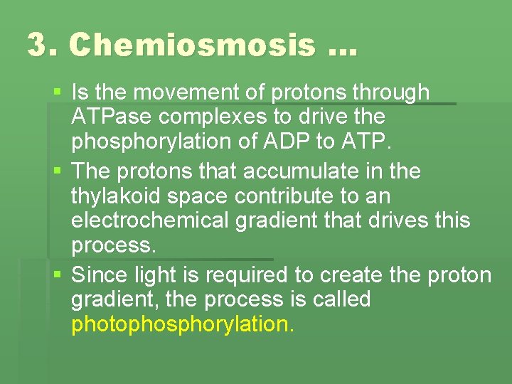 3. Chemiosmosis … § Is the movement of protons through ATPase complexes to drive