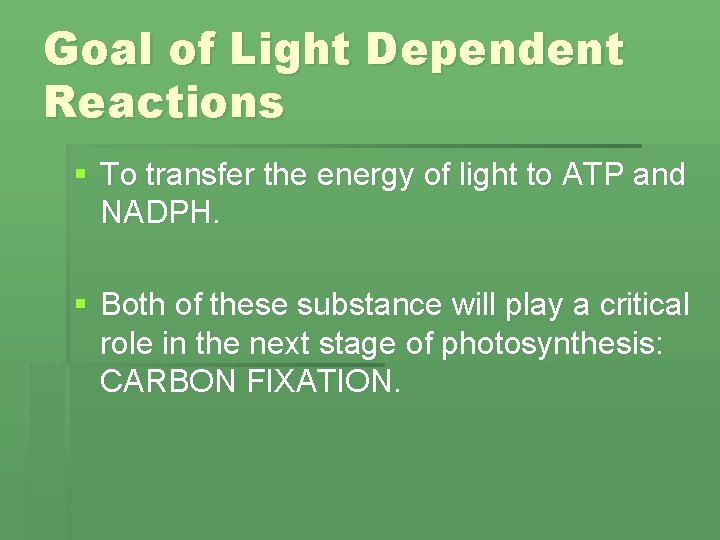 Goal of Light Dependent Reactions § To transfer the energy of light to ATP