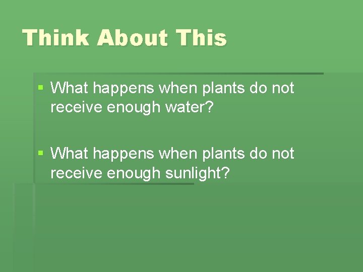 Think About This § What happens when plants do not receive enough water? §