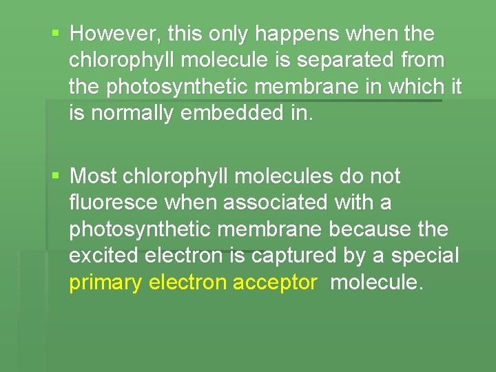 § However, this only happens when the chlorophyll molecule is separated from the photosynthetic