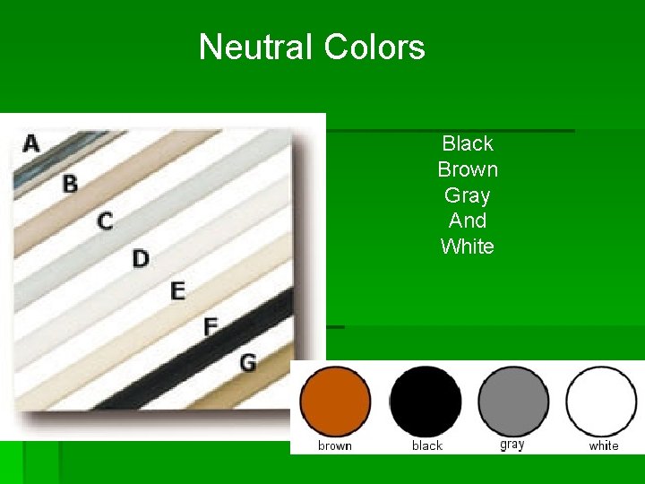 Neutral Colors Black Brown Gray And White 