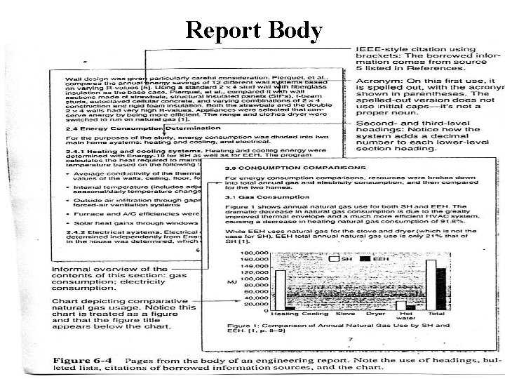 Report Body 