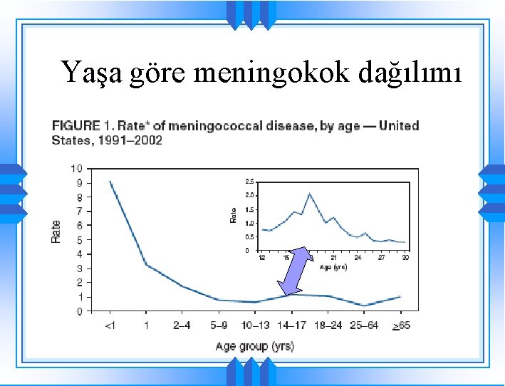 Yaşa göre meningokok dağılımı 