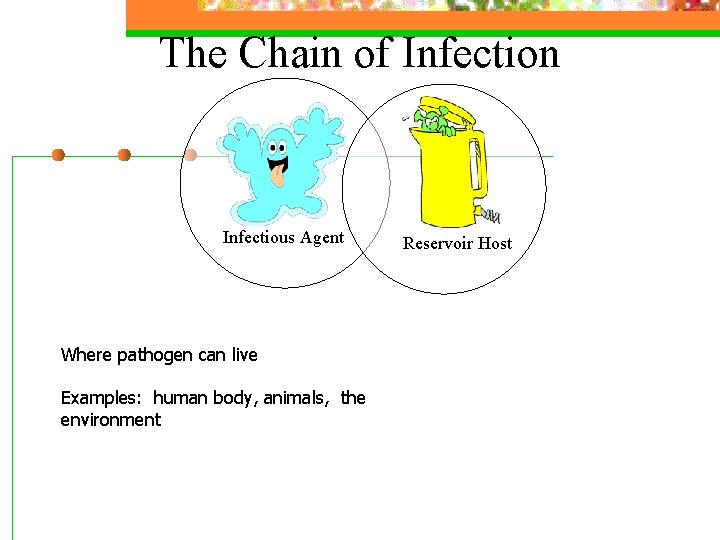 The Chain of Infection Infectious Agent Where pathogen can live Examples: human body, animals,