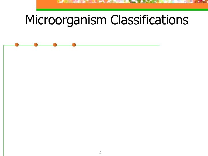 Microorganism Classifications 4 