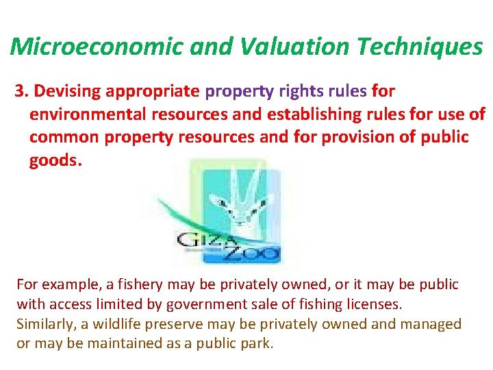 Microeconomic and Valuation Techniques 3. Devising appropriate property rights rules for environmental resources and