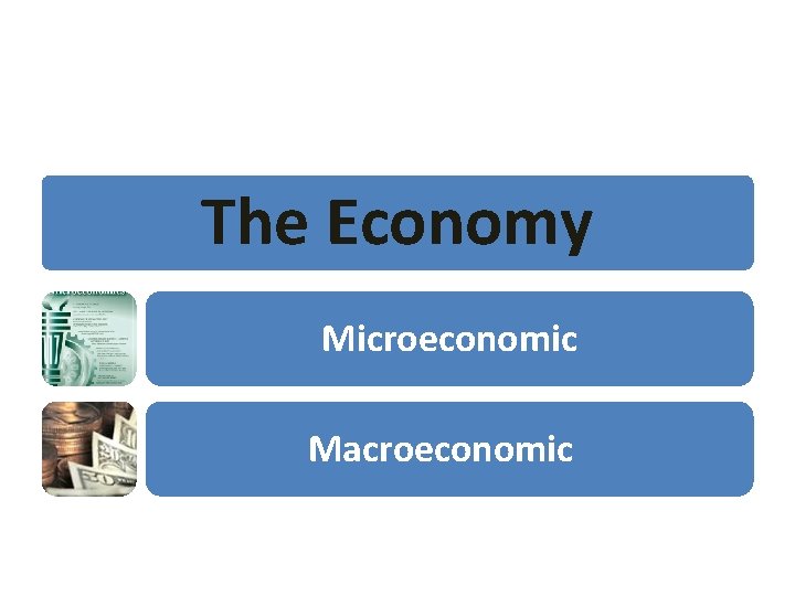 The Economy Microeconomic Macroeconomic 