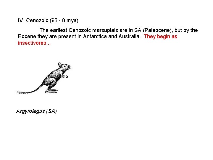 IV. Cenozoic (65 - 0 mya) The earliest Cenozoic marsupials are in SA (Paleocene), IV. Cenozoic (65 - 0 mya) The earliest Cenozoic marsupials are in SA (Paleocene),