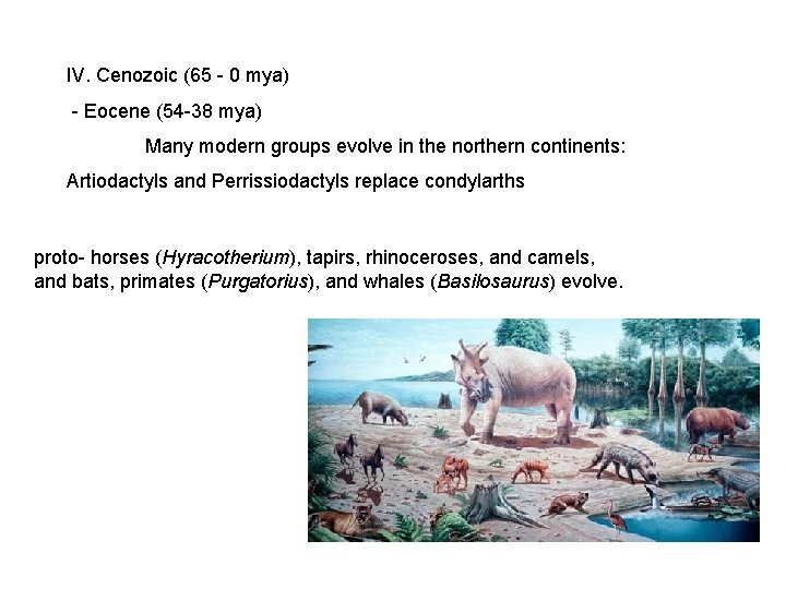 IV. Cenozoic (65 - 0 mya) - Eocene (54 -38 mya) Many modern groups IV. Cenozoic (65 - 0 mya) - Eocene (54 -38 mya) Many modern groups
