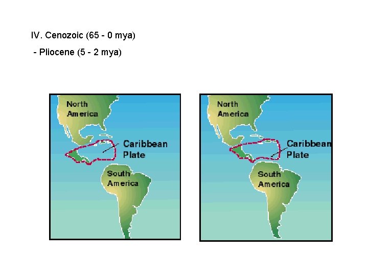 IV. Cenozoic (65 - 0 mya) - Pliocene (5 - 2 mya) IV. Cenozoic (65 - 0 mya) - Pliocene (5 - 2 mya)