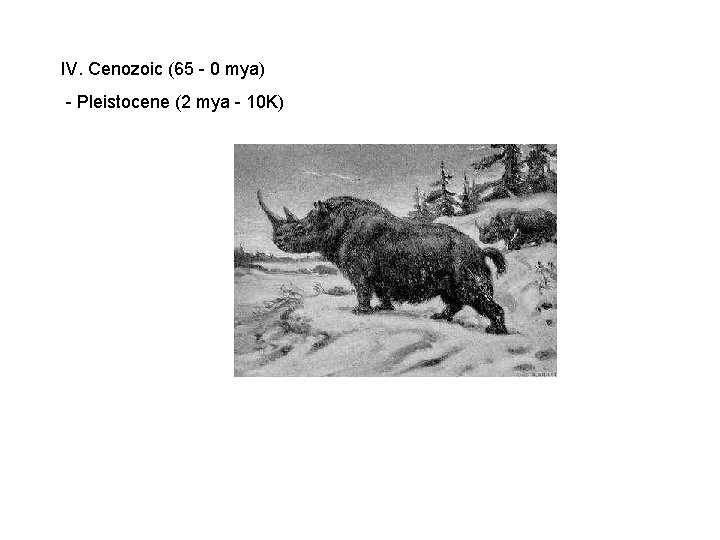 IV. Cenozoic (65 - 0 mya) - Pleistocene (2 mya - 10 K) IV. Cenozoic (65 - 0 mya) - Pleistocene (2 mya - 10 K)