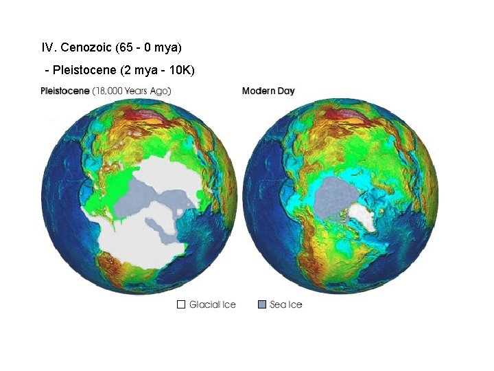 IV. Cenozoic (65 - 0 mya) - Pleistocene (2 mya - 10 K) IV. Cenozoic (65 - 0 mya) - Pleistocene (2 mya - 10 K)