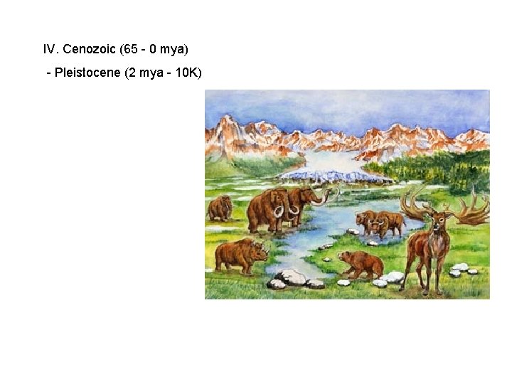 IV. Cenozoic (65 - 0 mya) - Pleistocene (2 mya - 10 K) IV. Cenozoic (65 - 0 mya) - Pleistocene (2 mya - 10 K)