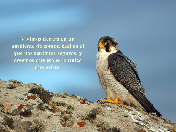 Vivimos dentro en un ambiente de comodidad en el que nos sentimos seguros, y Vivimos dentro en un ambiente de comodidad en el que nos sentimos seguros, y
