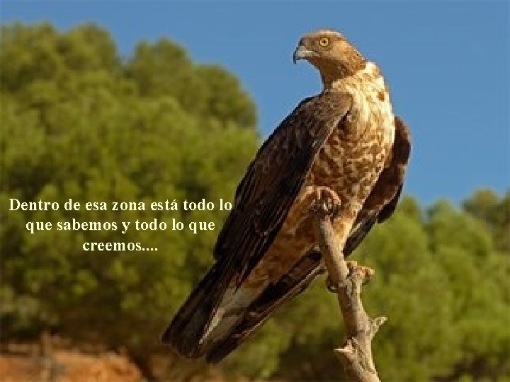 Dentro de esa zona está todo lo que sabemos y todo lo que creemos. Dentro de esa zona está todo lo que sabemos y todo lo que creemos.