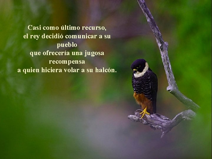 Casi como último recurso, el rey decidió comunicar a su pueblo que ofrecería una Casi como último recurso, el rey decidió comunicar a su pueblo que ofrecería una